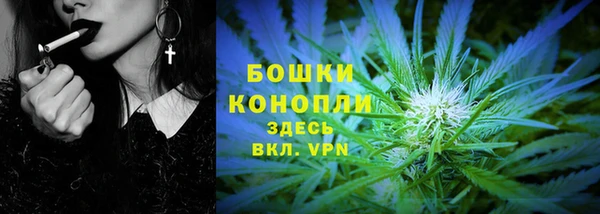 прущие грибы Няндома